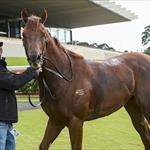 City Success for Excess